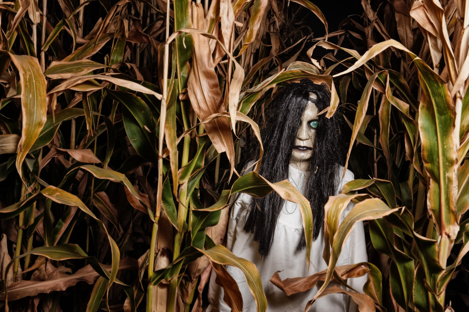 a dummy monster girl figure in corn stalks